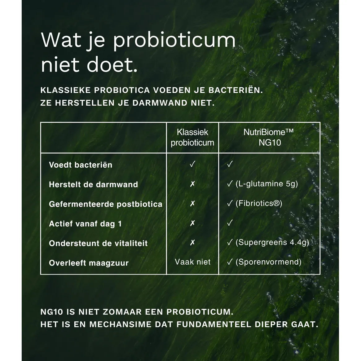 NIEUW! Insentials Routine Nutribiome™ NG10