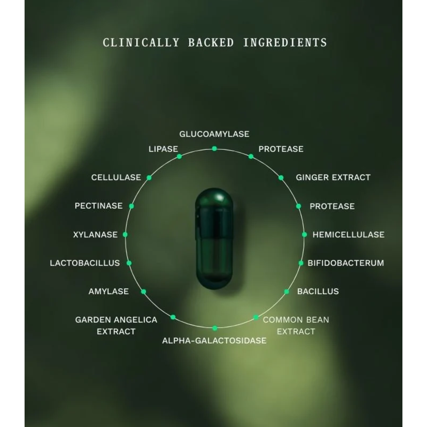 Insentials Symbiotic Digest & Gut Night Voordeelpack