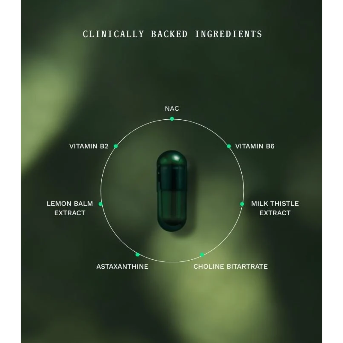 Insentials Symbiotic Digest & Gut Night Voordeelpack