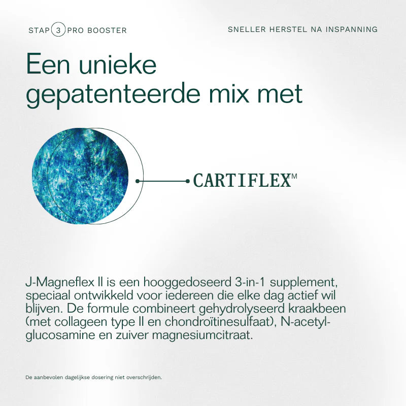 Zenza insentials j-magneflex II