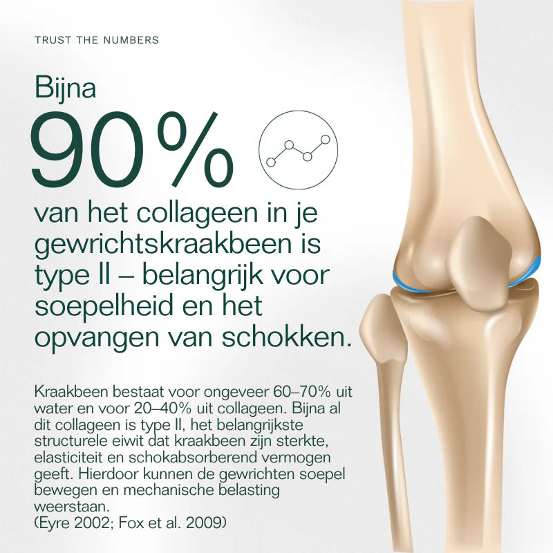 Zenza insentials j-magneflex II