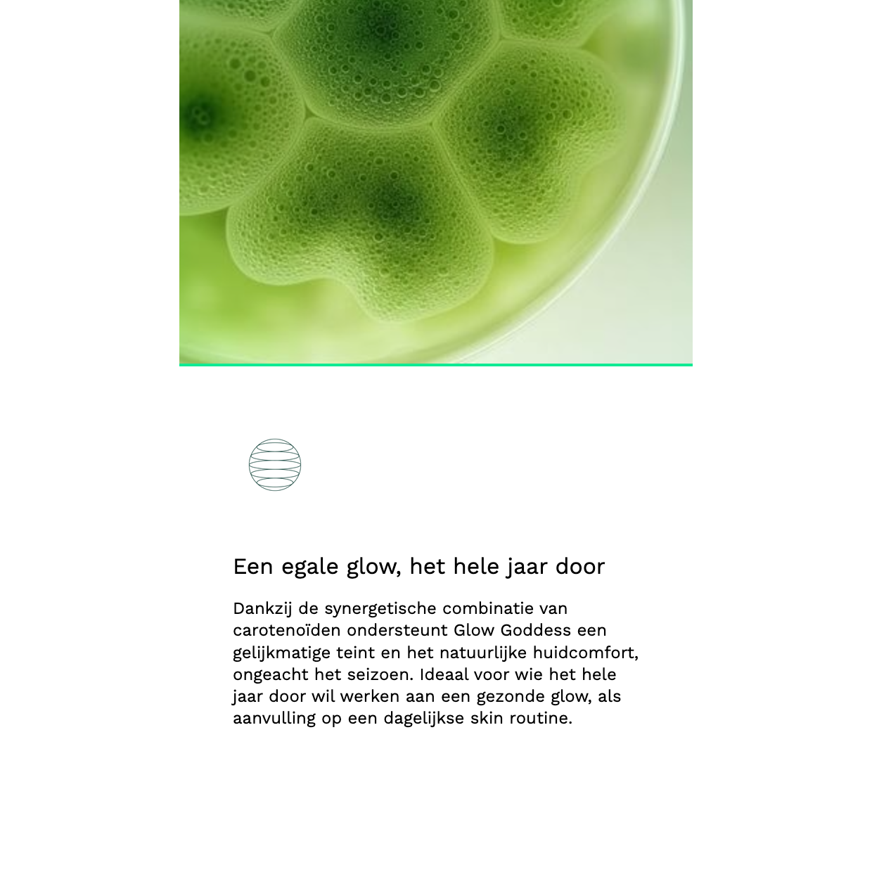 Insentials Glow Goddess