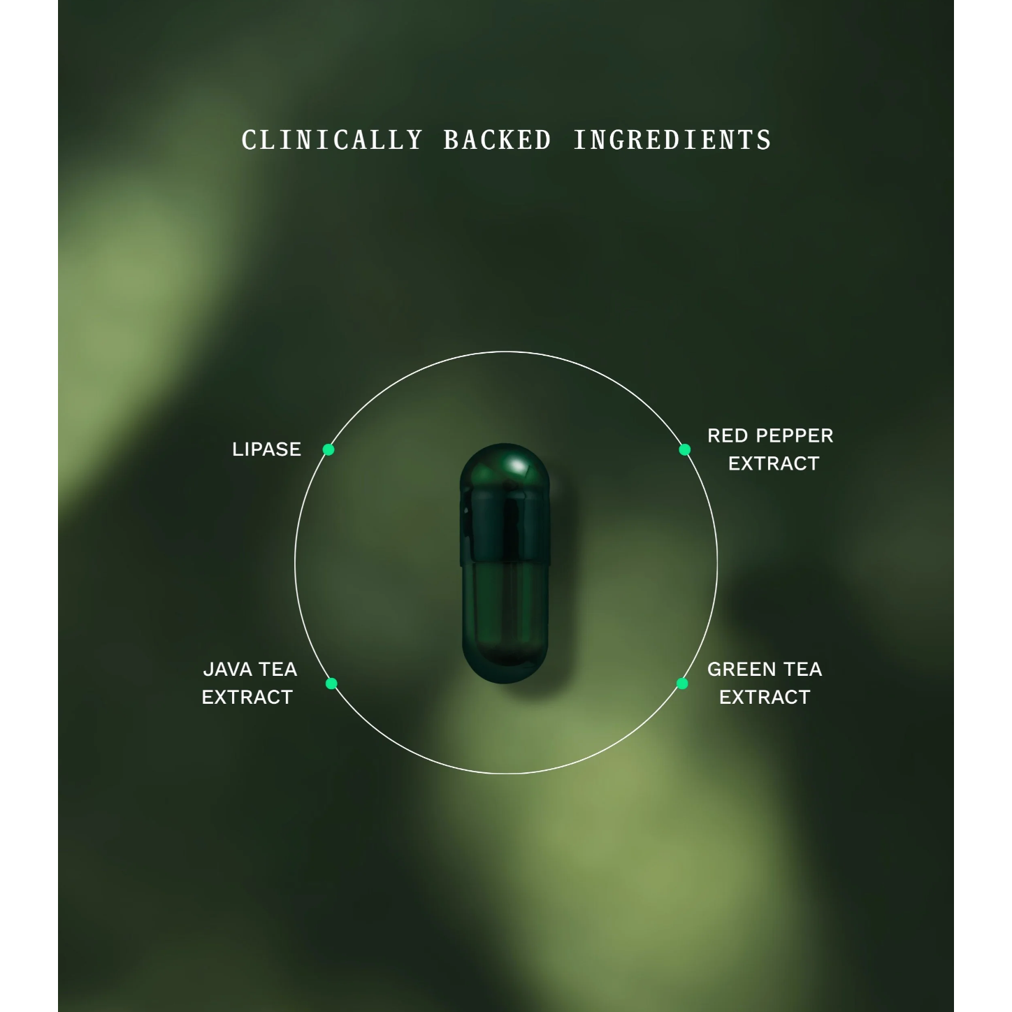 Insentials Fat Burner