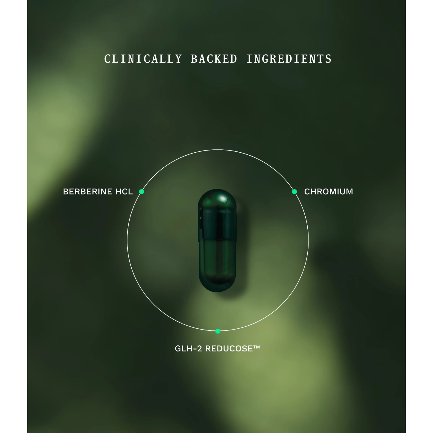 BESTSELLER - Insentials GLH-2, weg met cravings, zorgt voor stabiele bloedsuikerspiegel