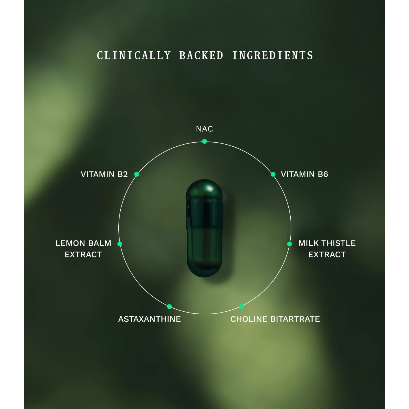 Insentials Gut Night