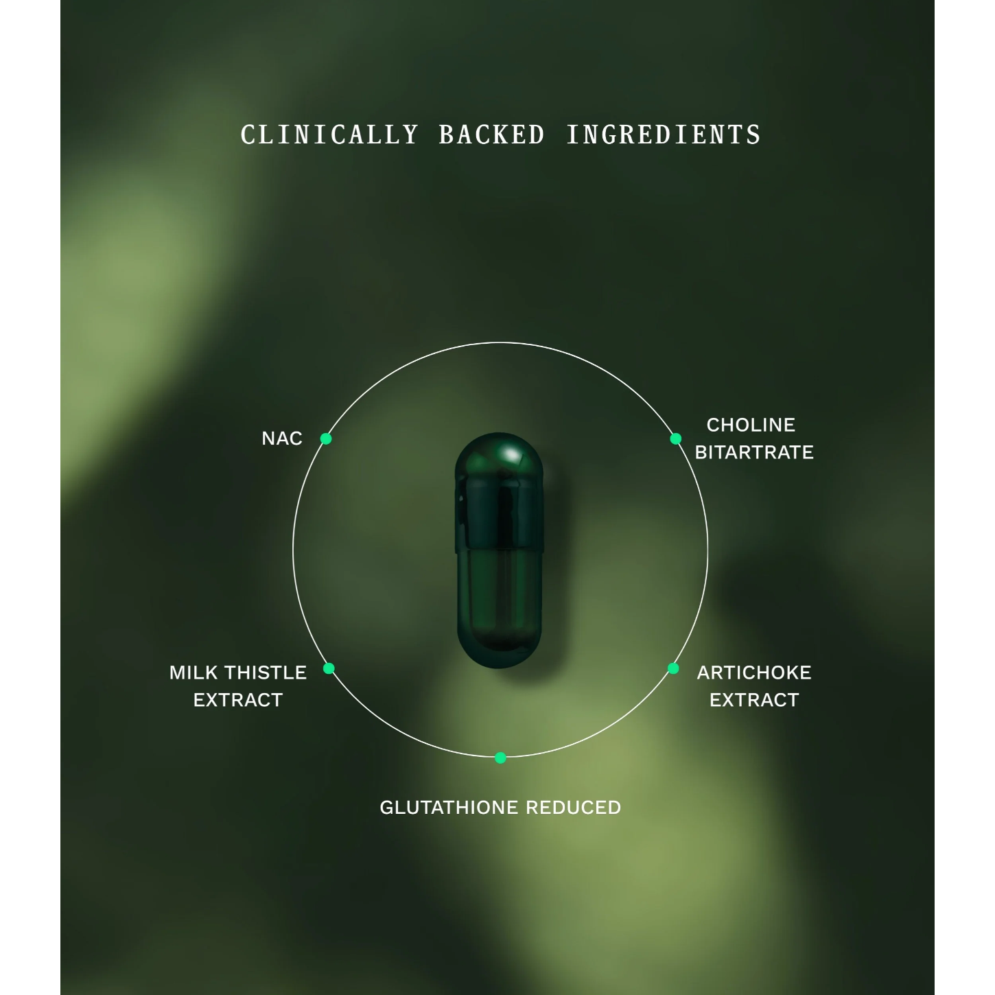 BESTSELLER Insentials Detox Boost: ideaal supplement bij moeilijk afvallen en weinig energie
