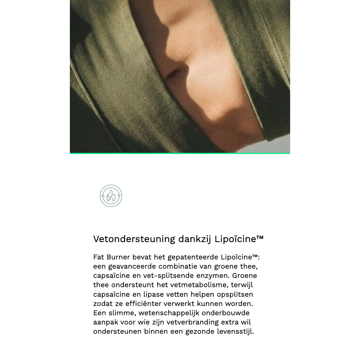 Insentials Fat Burner