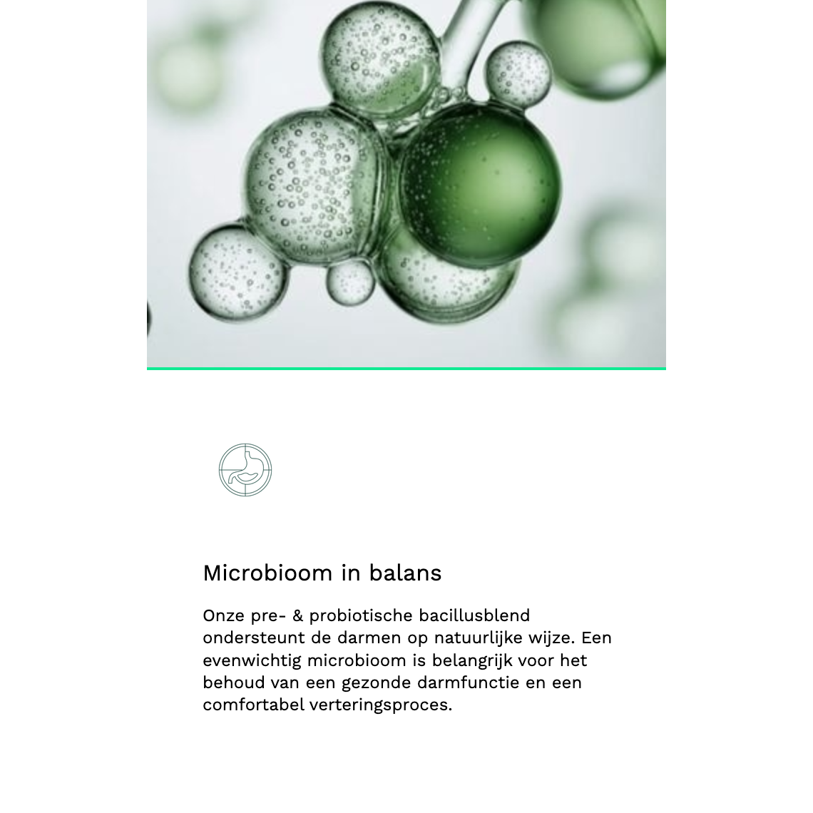 Insentials Symbiotic Digest (Gut Day)