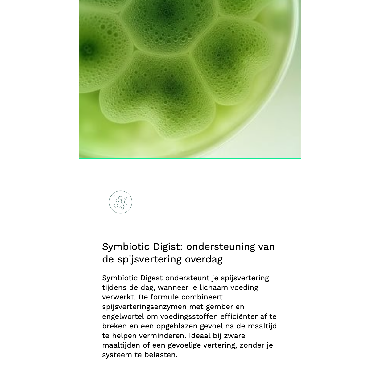 Insentials Symbiotic Digest & Gut Night Voordeelpack