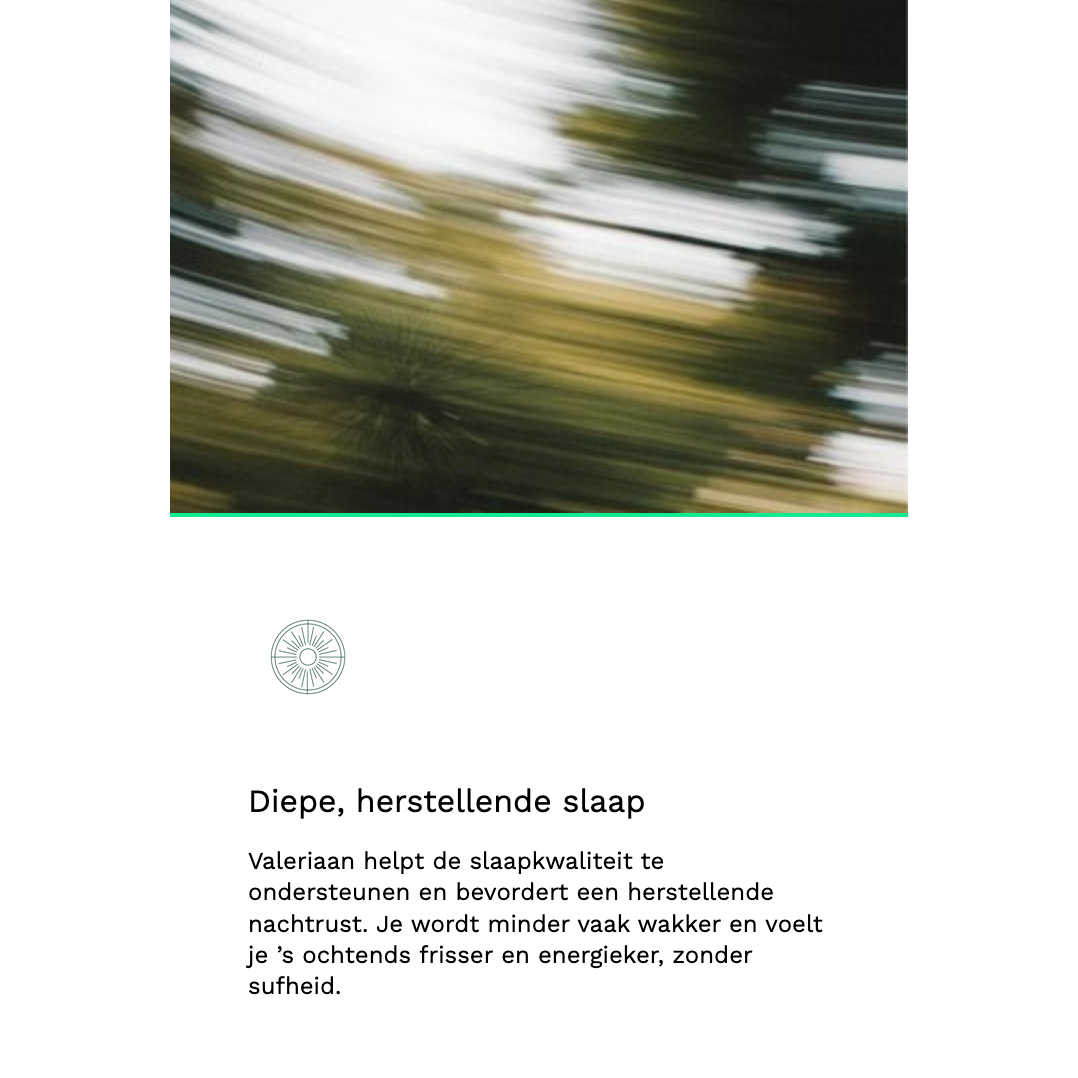 Insentials Deep Sleep