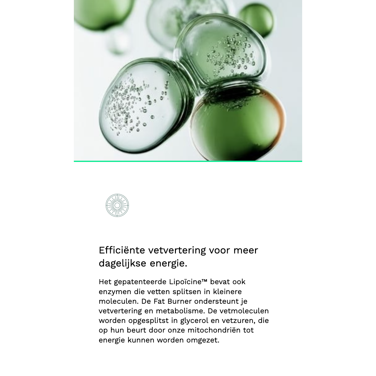 Insentials Fat Burner