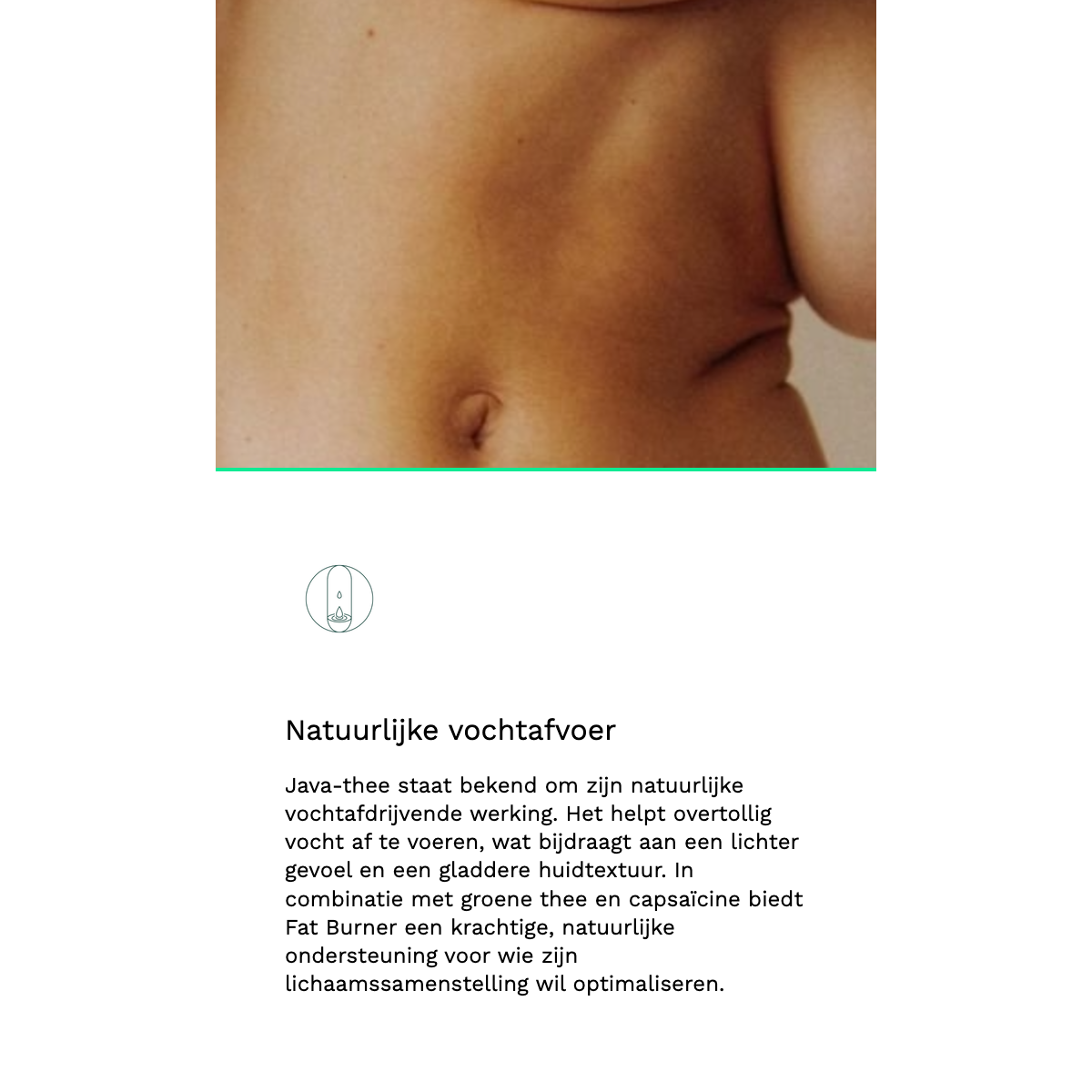 Insentials Fat Burner